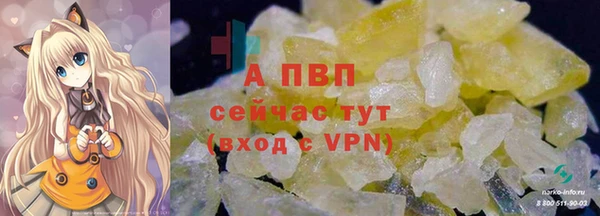 амфетамин Белокуриха