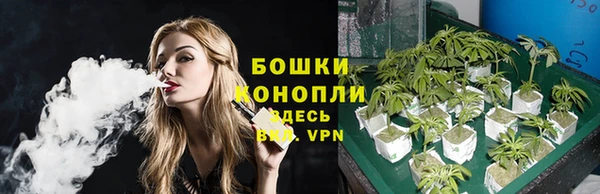 амфетамин Белокуриха