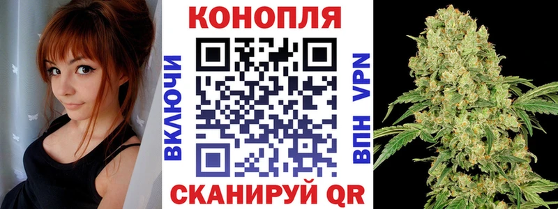 где продают наркотики  Володарск  Бошки Шишки VHQ 